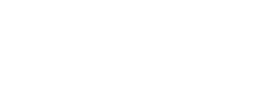 Wispo Logo